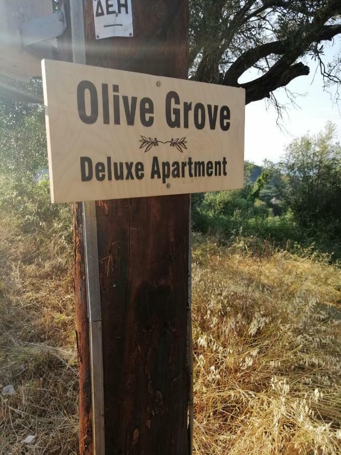 Olive Grove Deluxe Apartment Agnítsini 외부 사진
